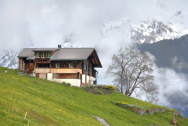 Morgenblick auf dem Land — Stockfoto