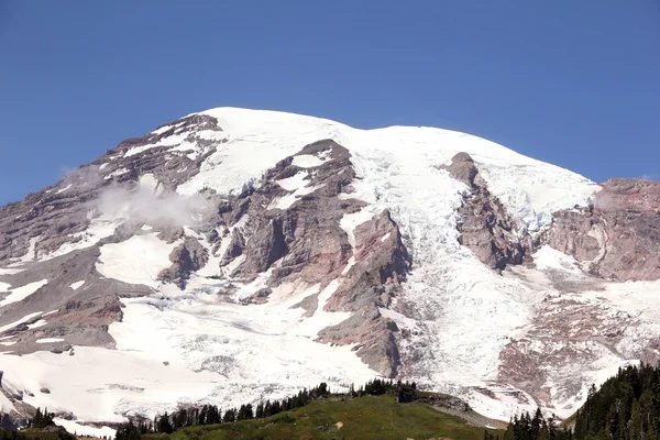 Mt. Rainier portre