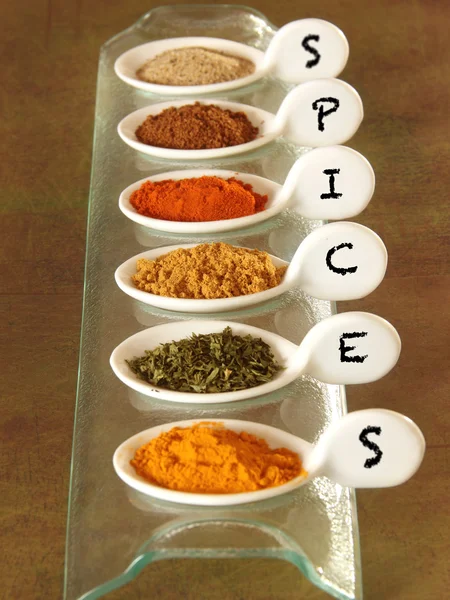 Indiska kryddor — Stockfoto