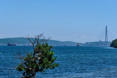 Vladivostok, Rusya - 12 Haziran 2020: Yazın güneş açtığında Golden Horn Körfezi 'ndeki köprülerin gündüz manzarası. Kanalın Rus adasının manzarası..