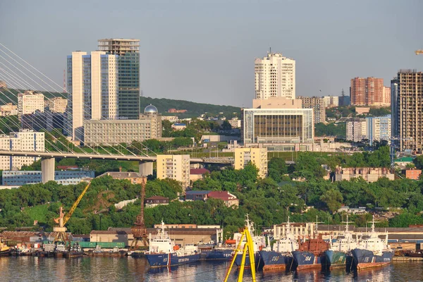 Vladivostok, Rusya - 11 Haziran 2020: Golden Swarm Bay 'deki köprünün akşam manzarası. Yazın deniz kenti plajı. — Stok fotoğraf