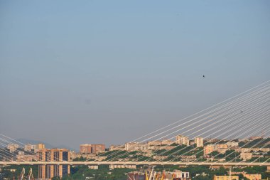 Vladivostok, Rusya - 11 Haziran 2020: Golden Swarm Bay 'deki köprünün akşam manzarası. Yazın deniz kenti plajı