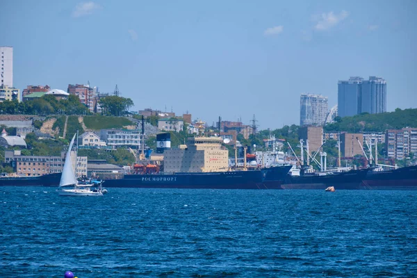 Vladivostok Rusia Junio 2020 Vista Día Los Puentes Bahía Del — Foto de Stock