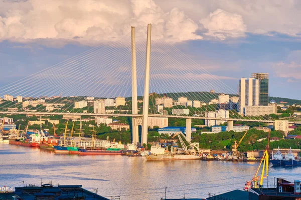 Vladivostok Rusland Jul 2020 Avondzicht Brug Gouden Zwermbaai Zee Stad — Stockfoto