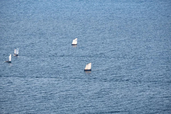 昼間のアムール湾の景色 ヨット職人はセーリングの訓練を受けている — ストック写真