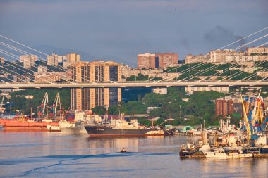 Vladivostok, Rusya - Haziran 01, 2020: Golden Swarm Bay 'deki köprünün akşam manzarası. Yazın deniz kenti plajı