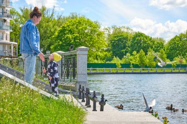 Anne ve kızı, şehrin göletindeki ördek ve martılara ekmek kırıntıları yediriyor.