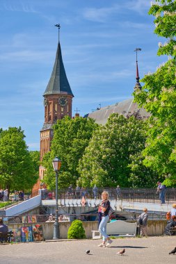 Kaliningrad, Rusya - 31 Mayıs 2021: Kanta Adası 'ndaki Kalininingrad Katedrali.