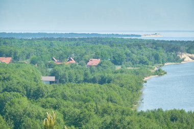 Kum tepeleri Rus Curonian Spit bölüm. Kaliningrad bölgesi, Rusya Federasyonu