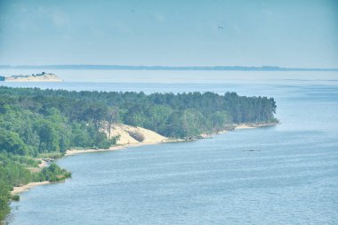 Kum tepeleri Rus Curonian Spit bölüm. Kaliningrad bölgesi, Rusya Federasyonu