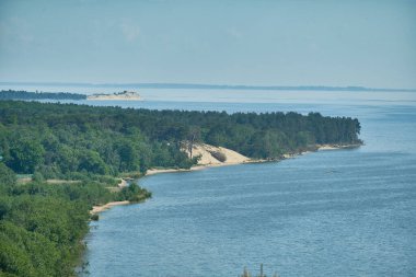 Kum tepeleri Rus Curonian Spit bölüm. Kaliningrad bölgesi, Rusya Federasyonu