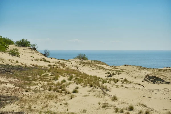 Písečné Duny Ruské Části Kurské Kose Kaliningradská Oblast Rusko — Stock fotografie