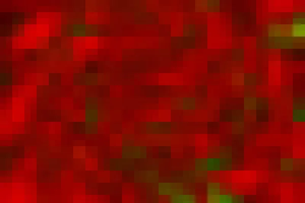 Röd Mosaik Abstrakt Textur Bakgrund Mönsterbakgrund Gradient Bakgrund — Stockfoto