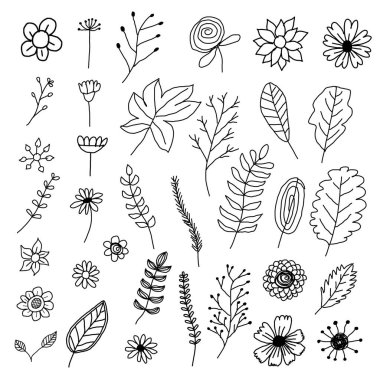 El Çizimi Botanik ve Çiçek Koleksiyonu En Düşük Çizgi Sanat Biçimi