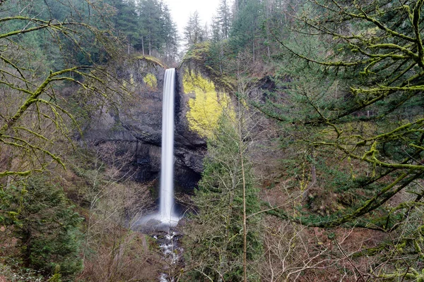 Columbia Gorge Waterfall Oregon Cascades Ainsworth State Park — Stock Photo, Image