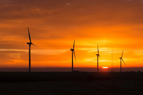 Bright Orange Sunrise Signal Peak Wind Turbines Washington Green — Stock Photo, Image