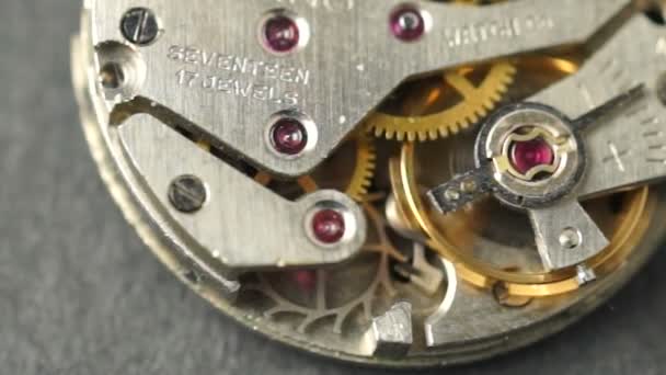 Orologio da polso Winding Close Up in esecuzione — Video Stock