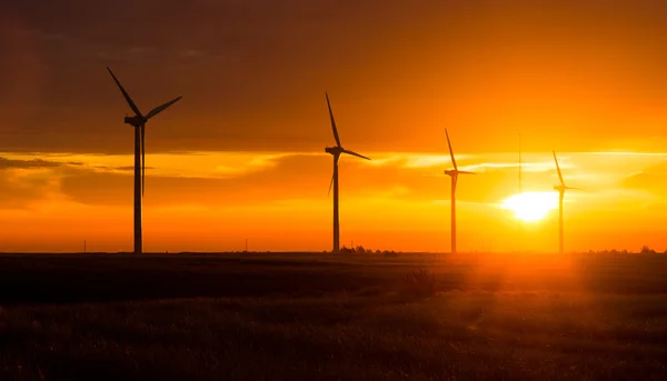 Bright Orange Sunrise Signal Peak Wind Turbines Washington Green — Stock Photo, Image