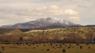 John gün Oregon sığır Ranch Kanyonu dağ yolu