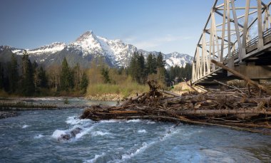 Whitehorse dağ Darrington Washington Kuzey Cascade dağ