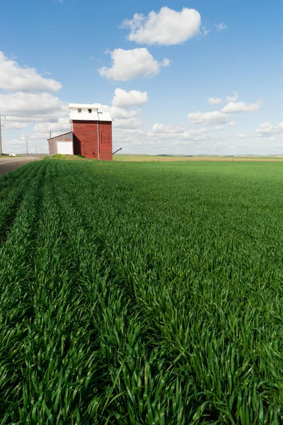 Red Grain Elevator Blue Skies Agricultura Green Crops Field — Foto de Stock