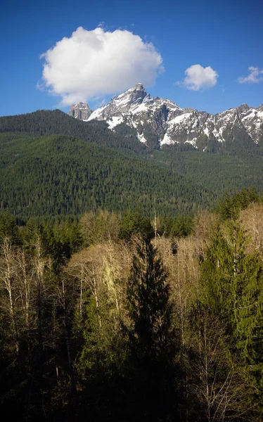 Witte Chuck berg Noord Cascade Range Baker Snoqualmie natie — Stockfoto