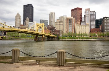 Pittsburgh Pennsylvania Şehir Merkezi Skyline Allegeny Nehri