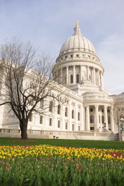 Wisconsin Capital Building Landscaped Grounds Tulip Flowers clipart