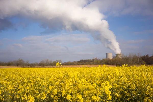 Wildflowers Bloom Under Nuclear Power Plant Exhaust Plume — Stock Photo, Image