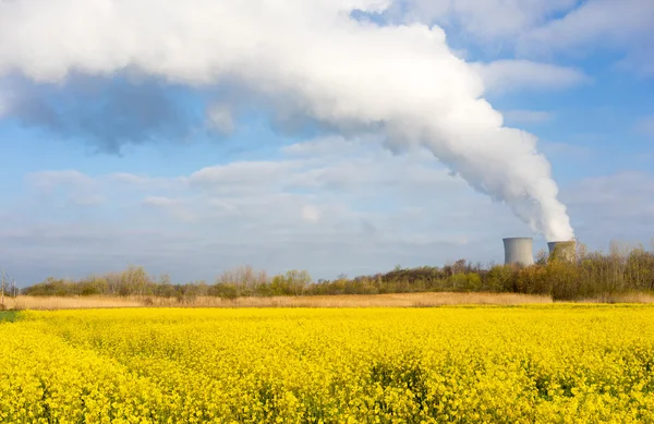 Kır çiçekleri Bloom nükleer enerji santrali egzoz Plume altında — Stok fotoğraf
