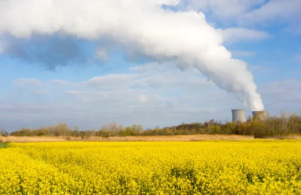 Wildflowers Bloom Under Nuclear Power Plant Exhaust Plume — Stock Photo, Image