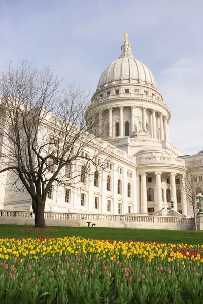 Wisconsin hoofdstad gebouw aangelegde gronden tulp bloemen — Stockfoto