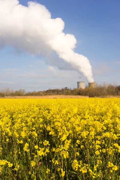 Wildflowers Bloom Under Nuclear Power Plant Exhaust Plume — Stock Photo, Image