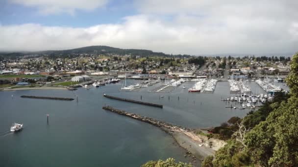 Puget Sound Fidalgo Bay Anacortes Washington Cap Sante Park Marina — Stockvideo