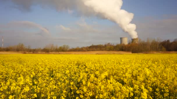 Flores silvestres existem sob exaustão Plume Nuclear Power Plant Energia Alternativa — Vídeo de Stock