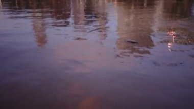 Cleveland Ohio şehir şehir manzarası Cuyahoga Nehri çift Ave Köprüsü