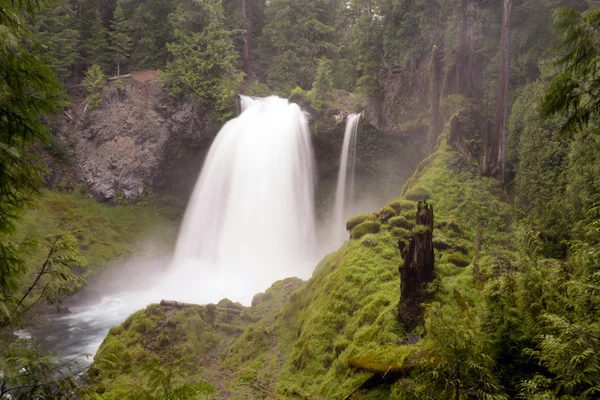 Sahalie falls mckenzie river national recreation trail natur — Stockfoto