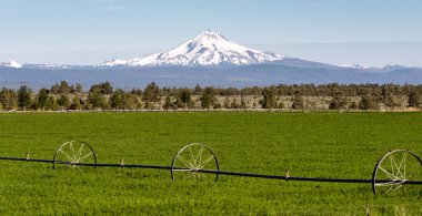 Mount Jefferson standları Majestic Oregon Cascade dağ