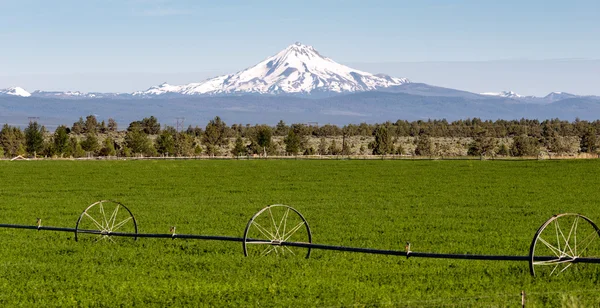 Mount Jefferson stojí majestátní Oregon Kaskádové pohoří — Stock fotografie