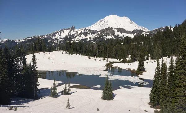 Tipsoo jezero Nacheský vrchol smyčky Mt Rainier Kaskádové pohoří — Stock fotografie