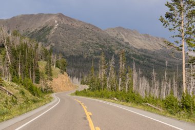 Doğu girişi Yellowstone Ulusal Parkı çığ zirveye giden yol