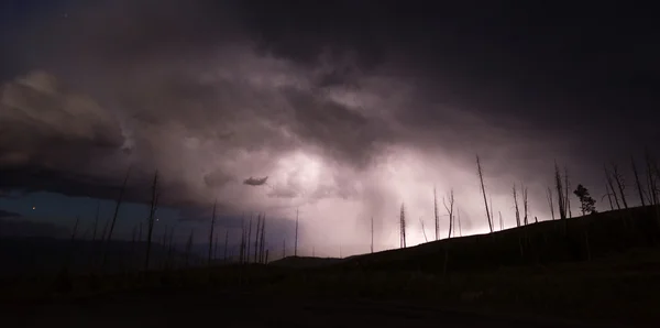 Sobre Tower Creek Thunderstorm Lightning Strikes Yellowstone Nati — Foto de Stock