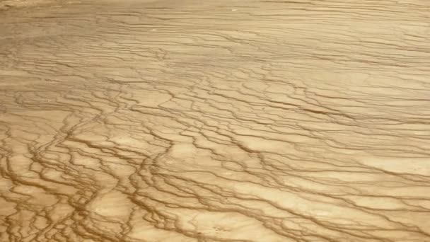 Agua mineral Grand Prismatic Spring Midway Geyser Basin Yellowstone — Vídeos de Stock