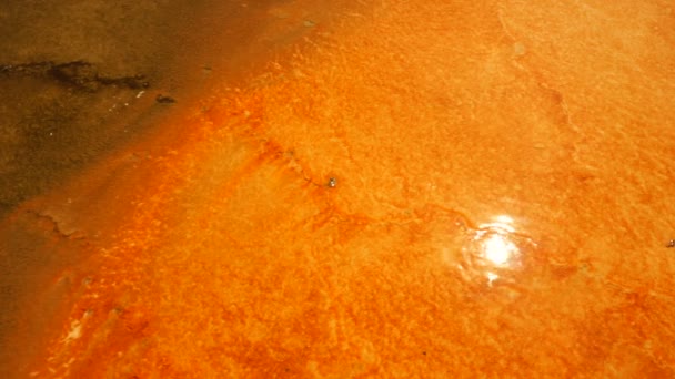 Orange reflektion Grand Prismatic Spring Midway Geyser Basin Yellowstone — Stockvideo