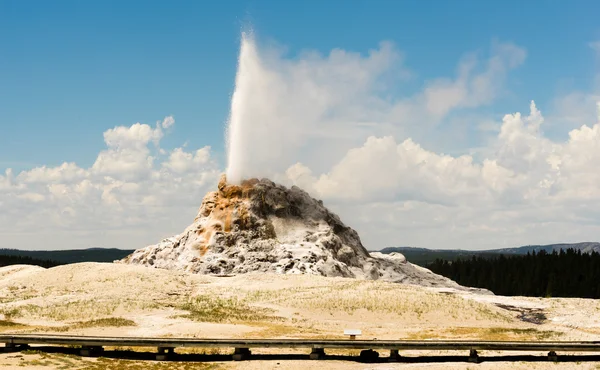 White Dome Geyser Erupting Yellowstone National Park Geothermal — Stock Photo, Image