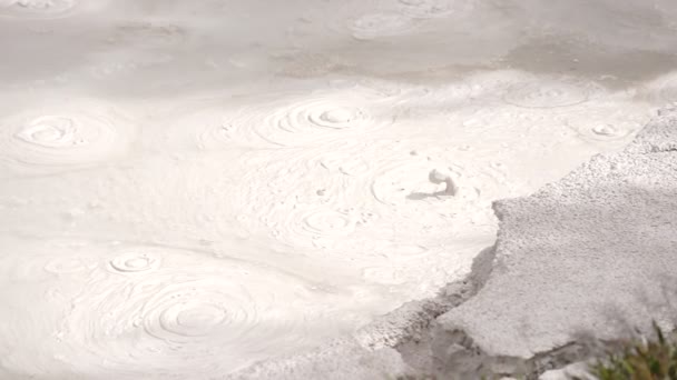 Piscina termal Artista Paint Pots Área Parque Nacional de Yellowstone — Vídeos de Stock