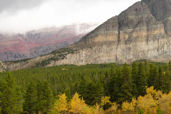 Fall Color Many Glacier National Park Montana — Stock Photo, Image