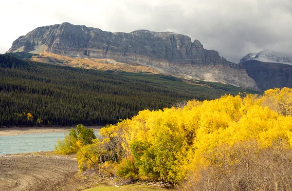 Hösten färg Sherburne sjön många Glacier nationalpark Montana — Stockfoto