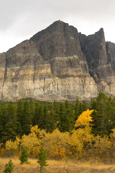 Fall Color Many Glacier East Side National Park Montana — Stock Photo, Image