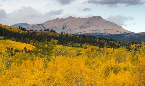 Colore autunno molti ghiacciaio East Side National Park Montana — Foto Stock